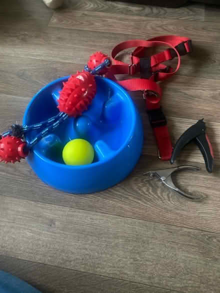 Photo of free Dog accessories (Whins of Milton FK7) #1