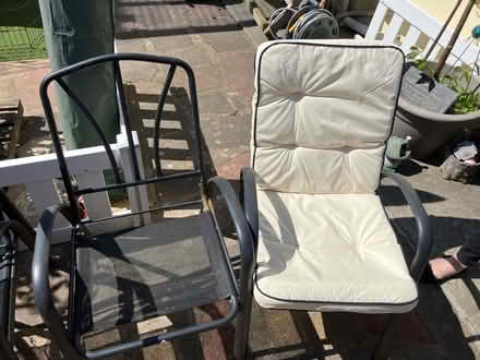 Photo of free Garden chairs and cushions x4 (Seaside BN22) #1