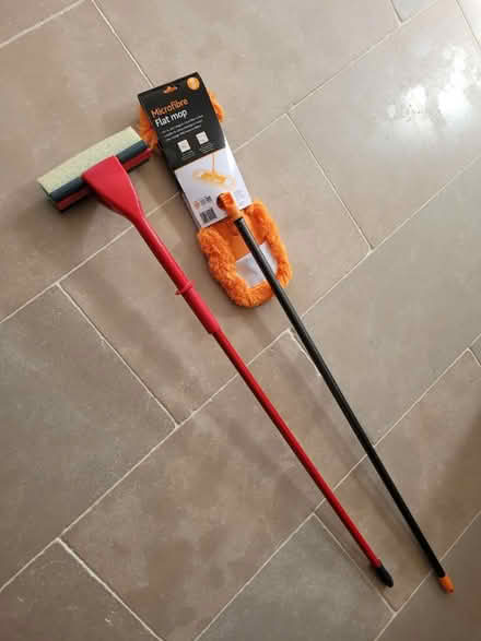 Photo of free Mops (Wimborne,Colehill) #1
