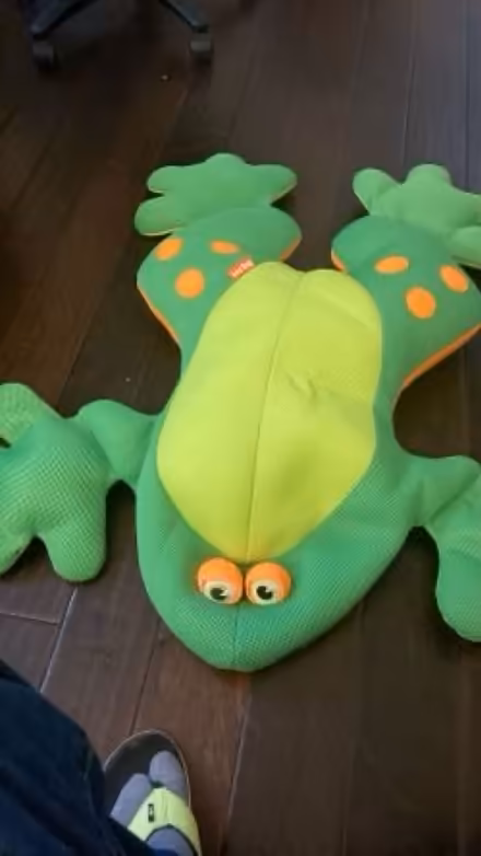 Photo of free Big Joe Frog Pool Float (Eastlake) #3