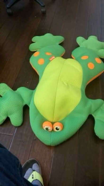 Photo of free Big Joe Frog Pool Float (Eastlake) #2