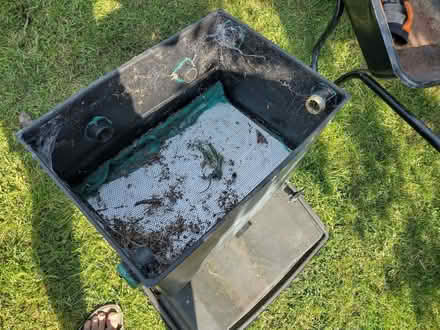 Photo of free Wormery (Allithwaite LA11) #2