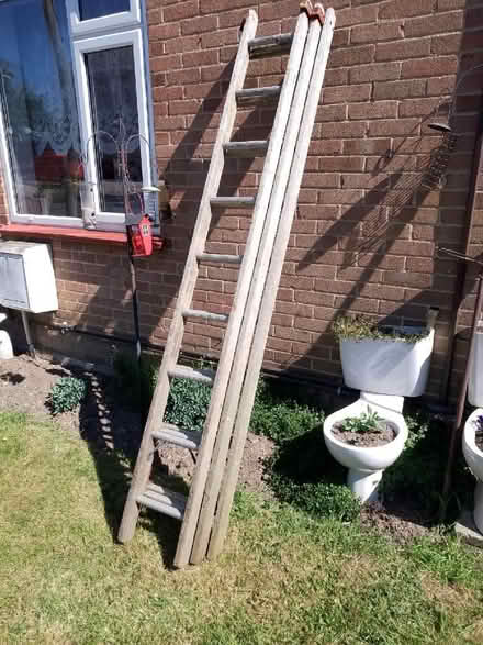 Photo of free Wooden ladder (Oulton NR32) #1