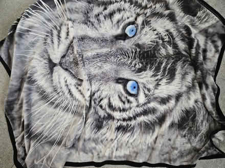 Photo of free Large Tiger Blanket (Bestwood Park Estate NG5) #2