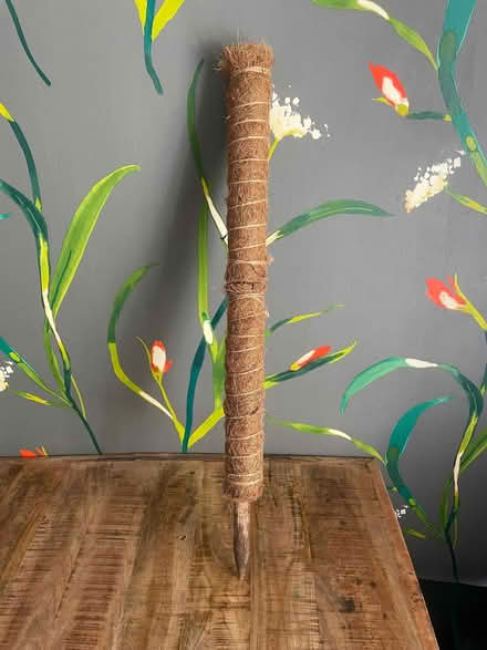Photo of free Plant supports (AB51) #2