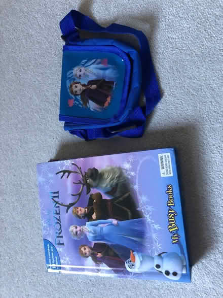 Photo of free Kids Frozen book and bag (Crooks Barn TS20) #3