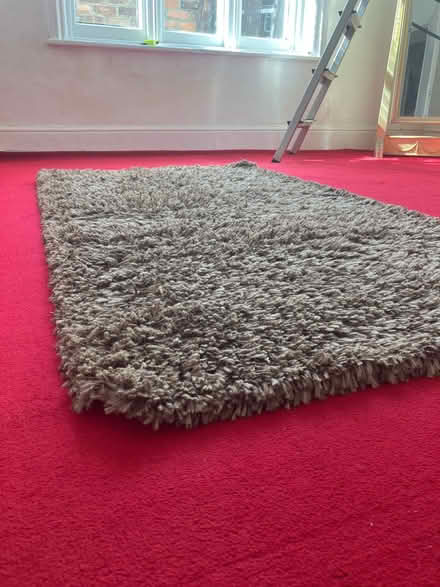 Photo of free Brown rug (Southport PR9) #1