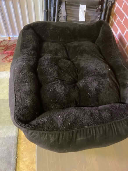 Photo of free Pet bed (Grange Park) #2