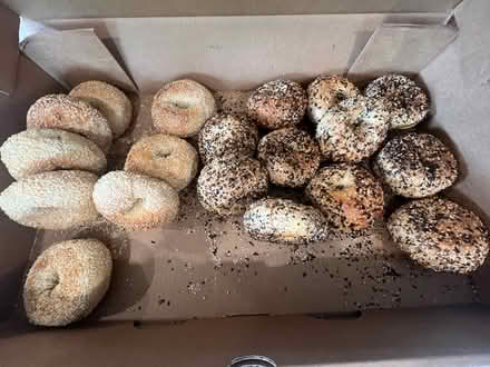 Photo of free Bagels (North east seattle) #2