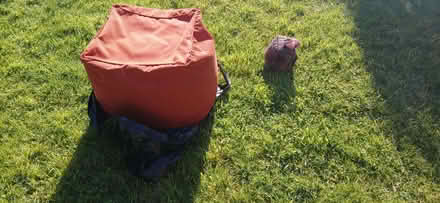 Photo of free Pouffe and Door Stop (Whins of Milton FK7) #1