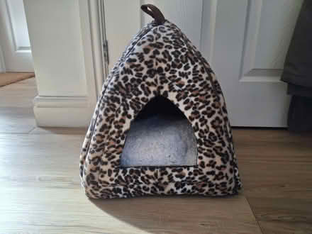 Photo of free Cat igloo (Murrow) #1