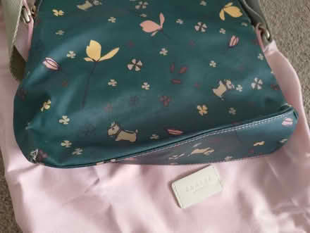 Photo of free Radley bag (Fords Farm RG31) #4