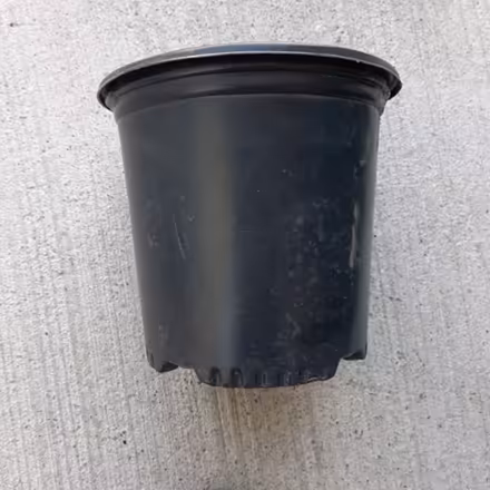 Photo of free Garden Pot (Orleans) #1