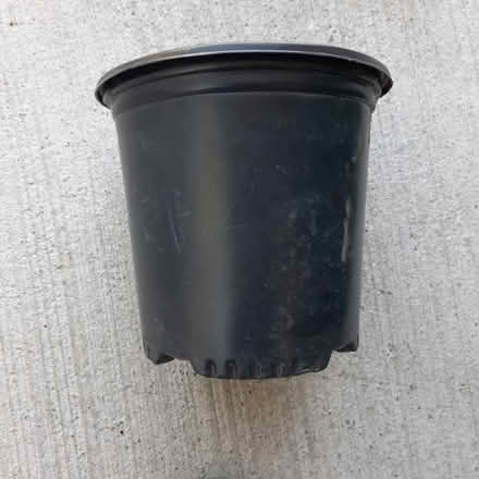 Photo of free Garden Pot (Orleans) #1