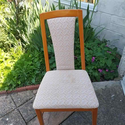 Photo of free 4 Dining room chairs (Berrow, Burnham On Sea) #1