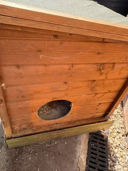Photo of free Guinea pig/rabbit hutch (Tunbridge Wells) #2