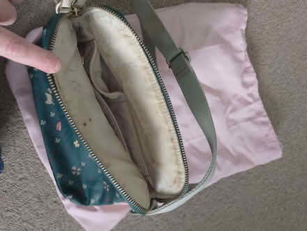 Photo of free Radley bag (Fords Farm RG31) #3
