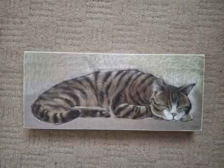 Photo of free Tabby Cat canvas (Murrow) #1