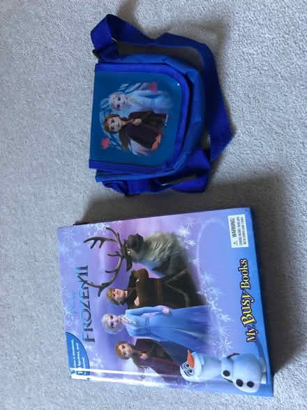 Photo of free Kids Frozen book and bag (Crooks Barn TS20) #1