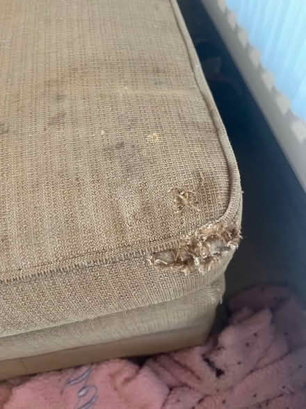 Photo of free Storage poof (Sy109la) #2