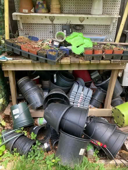 Photo of free Plastic pots, LOTS (Woodfield Rd & Airpark) #1