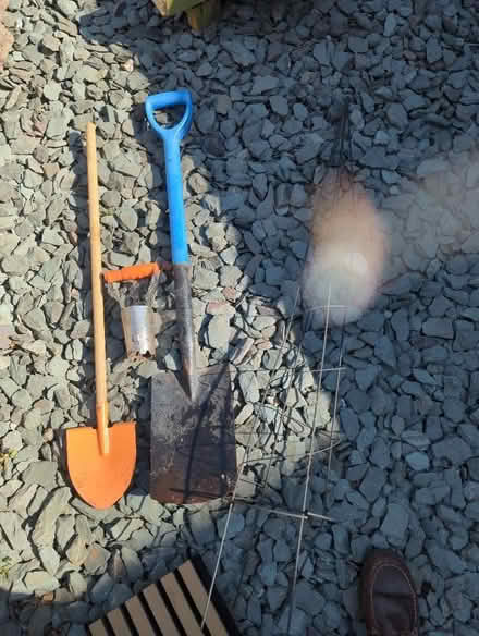 Photo of free Gardening items (Combe Down) #1