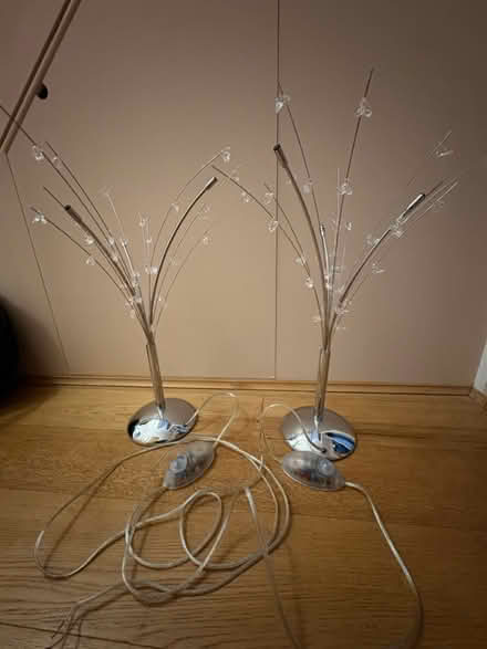 Photo of free 2 Lamps (Westbury-on-Trym) #1