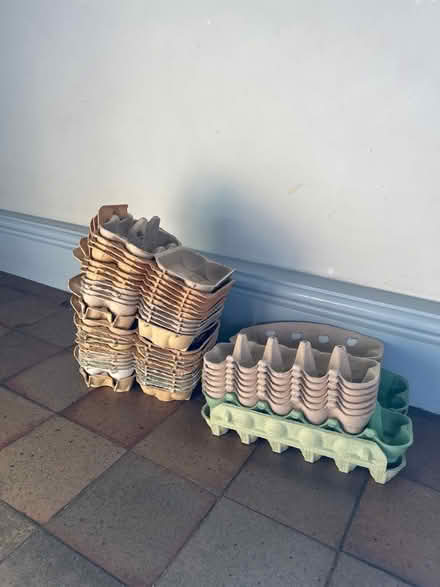 Photo of free Egg boxes (Carlton Colville NR33) #1