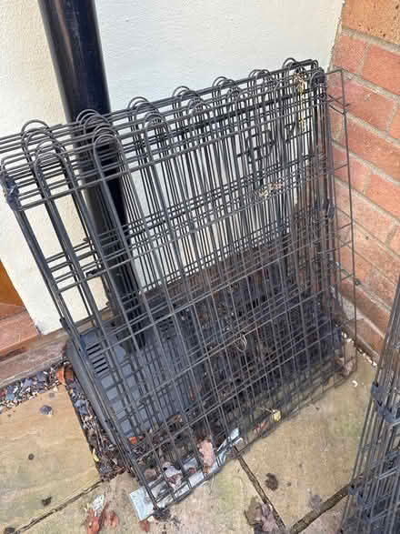 Photo of free Dog / pet fencing (Bromham MK43) #1