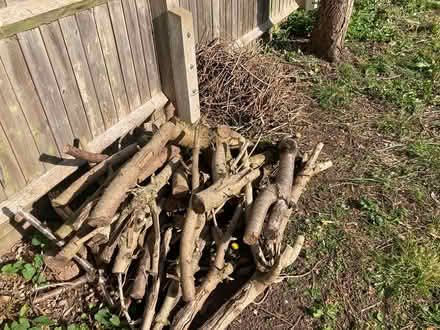 Photo of free Wood/tree cuttings for fire etc (Coventry CV4) #1