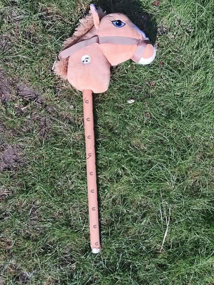 Photo of free Hobby horse (OX25, Weston on the green) #1
