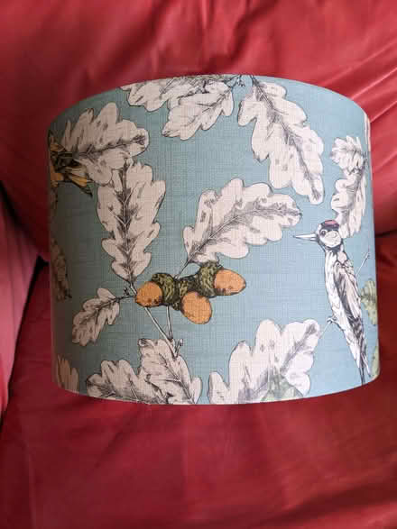 Photo of free Lampshade (Chelsham CR6) #1