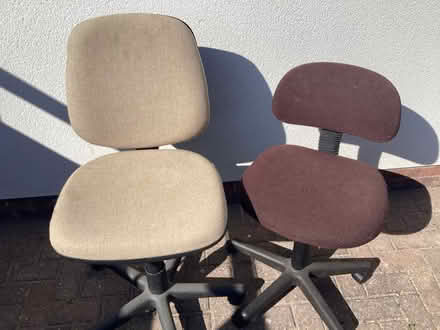 Photo of free Office chairs (West Mersea CO5) #1