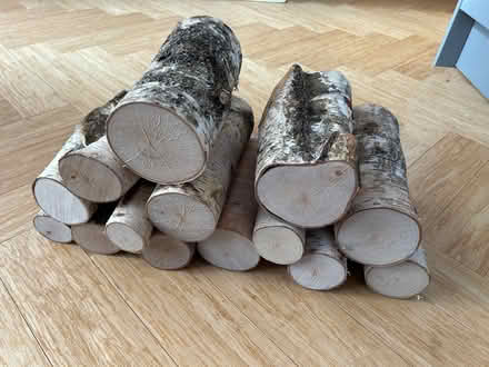 Photo of free Birch Logs (Lodge Moor S10) #1
