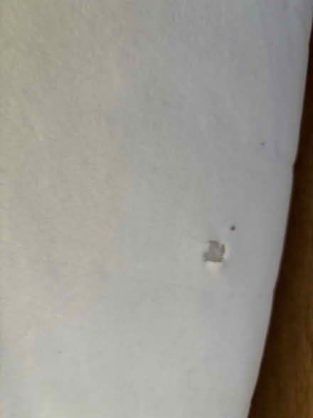 Photo of free Memflex king size mattress with zip off washable cover (Prestwick NE20) #3