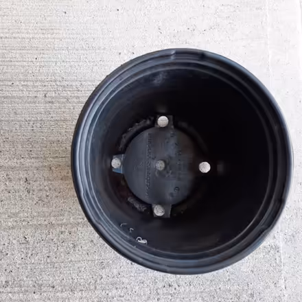 Photo of free Garden Pot (Orleans) #2