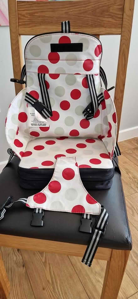 Photo of free Child's Booster Seat (Alton) #1
