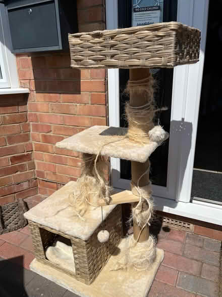 Photo of free Cat tower (Willington DE65) #1