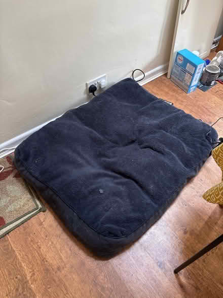 Photo of free Large dog bed (Crosspool S10) #1