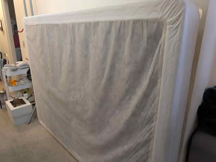 Photo of free Queen mattress set (International District) #3