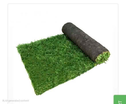 Photo of Turf / grass (Tooting SW17) #1