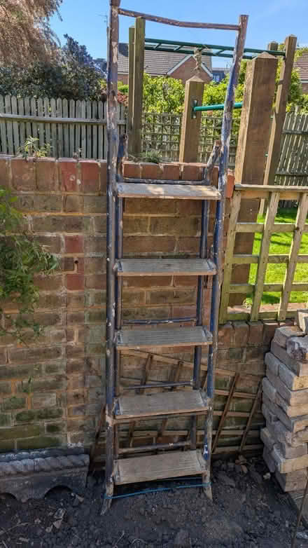 Photo of free Ladder (KT13) #3