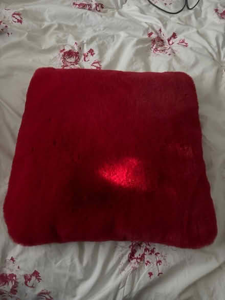 Photo of free Large red furry cushion (Bexhill TN39) #1