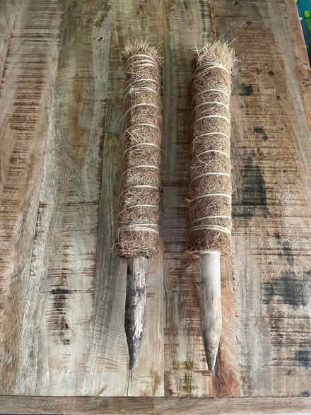 Photo of free Plant supports (AB51) #1