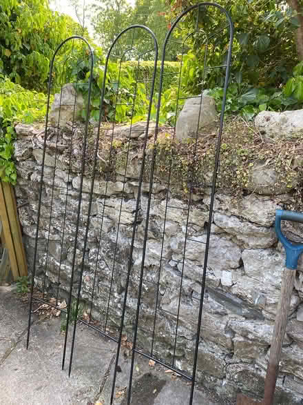 Photo of free Plant Metal Supports & Old Bamboo (Silverdale) #1