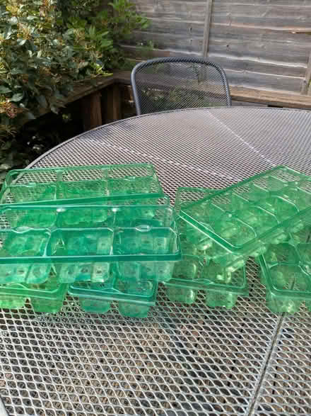 Photo of free Seedling/Plant Trays (Beulah Hill SE19) #1
