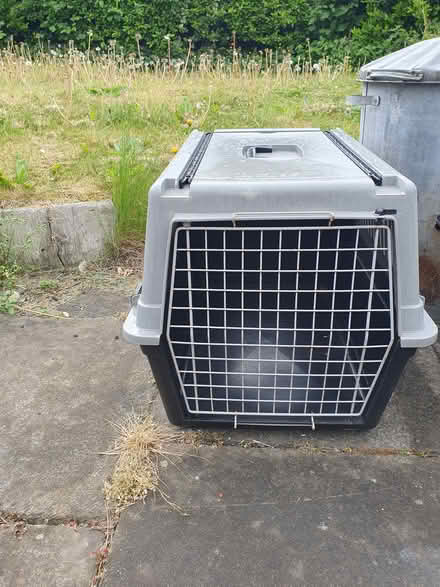 Photo of free Pet carrier (Gateshead NE8) #1