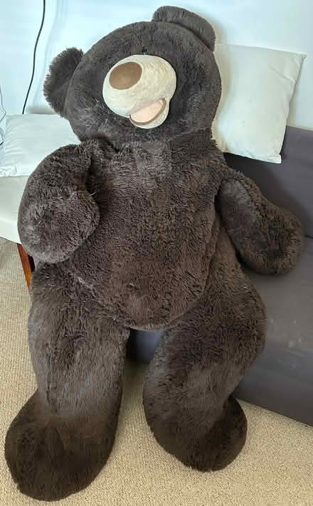Photo of free Large teddy bear brown (Elm Park RM12) #1