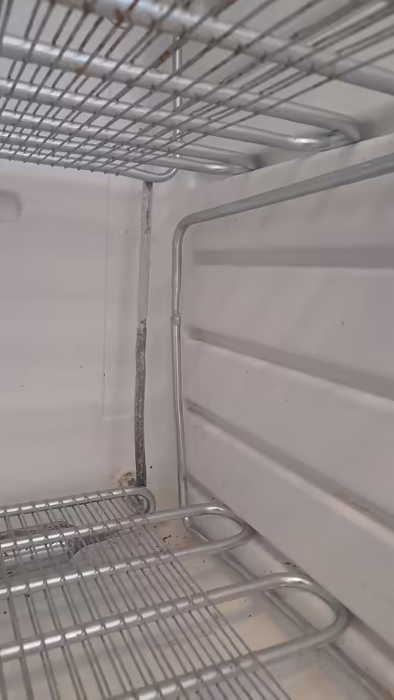 Photo of free Freezer (Newington EH9) #2