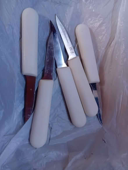 Photo of free Knife X5 (fish, i think) (NOTE 18+) (Tavistock Avenue ST16) #1